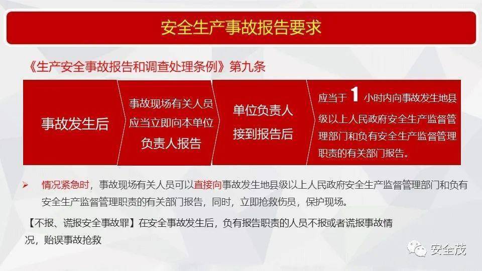 49最快开奖结果澳门：全面释义解释落实