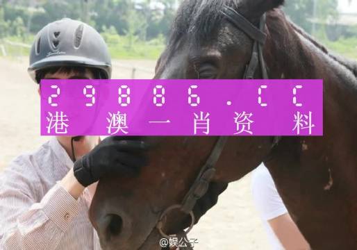 澳门50123一肖一码：精选解析解释落实